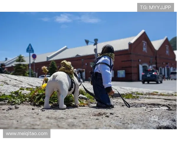 小庞与詹姆斯第三季命运交织的都市励志追梦成长传奇故事 小庞与詹姆斯第三季命运交织的都市励志追梦成长传奇故事