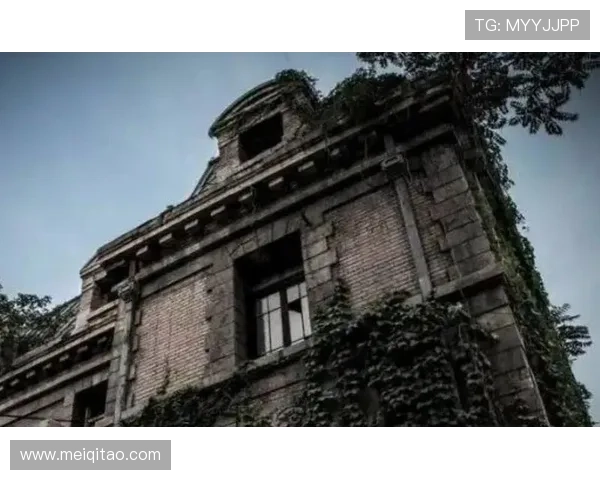 《朝外81号》:不止是惊悚,更是一场关于记忆与真相的轮回 《朝外81号》:不止是惊悚,更是一场关于记忆与真相的轮回